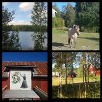 Klikk for stort bilde