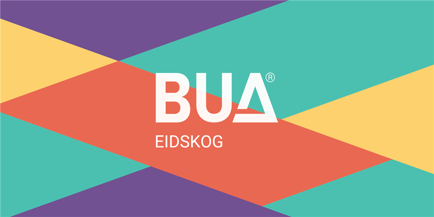 Logo for BUA - Klikk for stort bilde