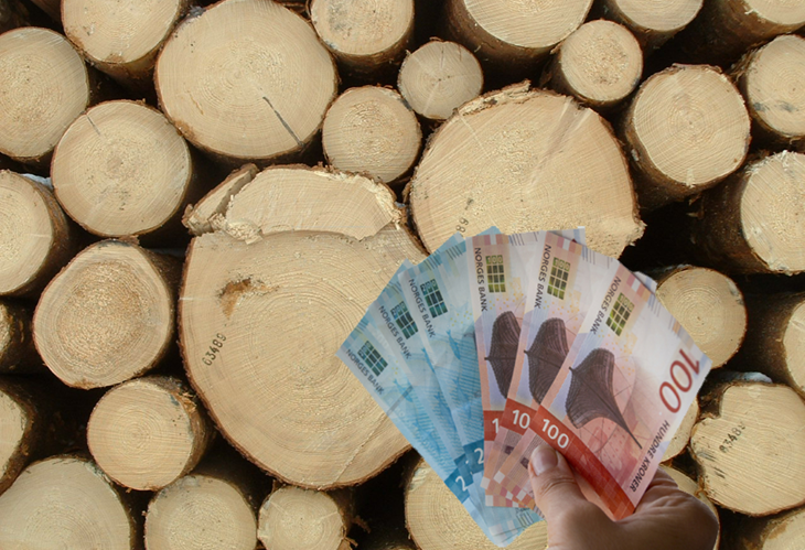 Tømmerstokker med en bunke norske sedler - Klikk for stort bilde